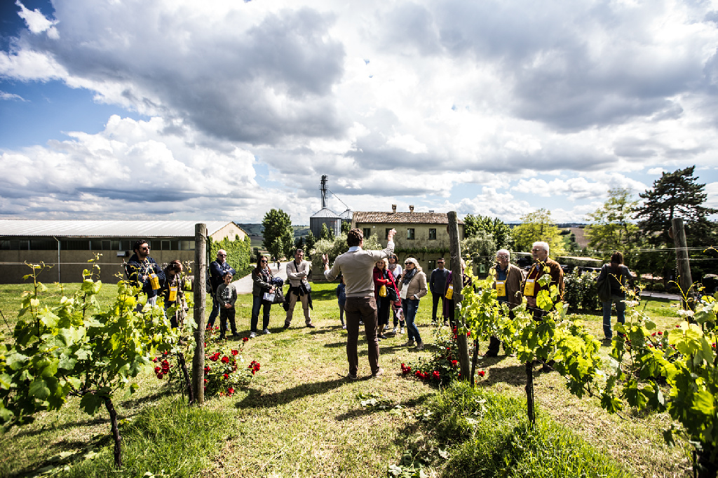 Azienda Agraria Guerrieri