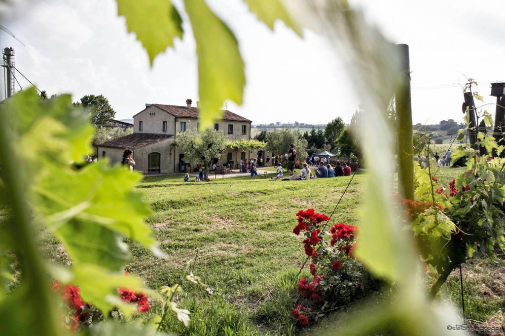 allaperto-azienda-guerrieri-1024x682