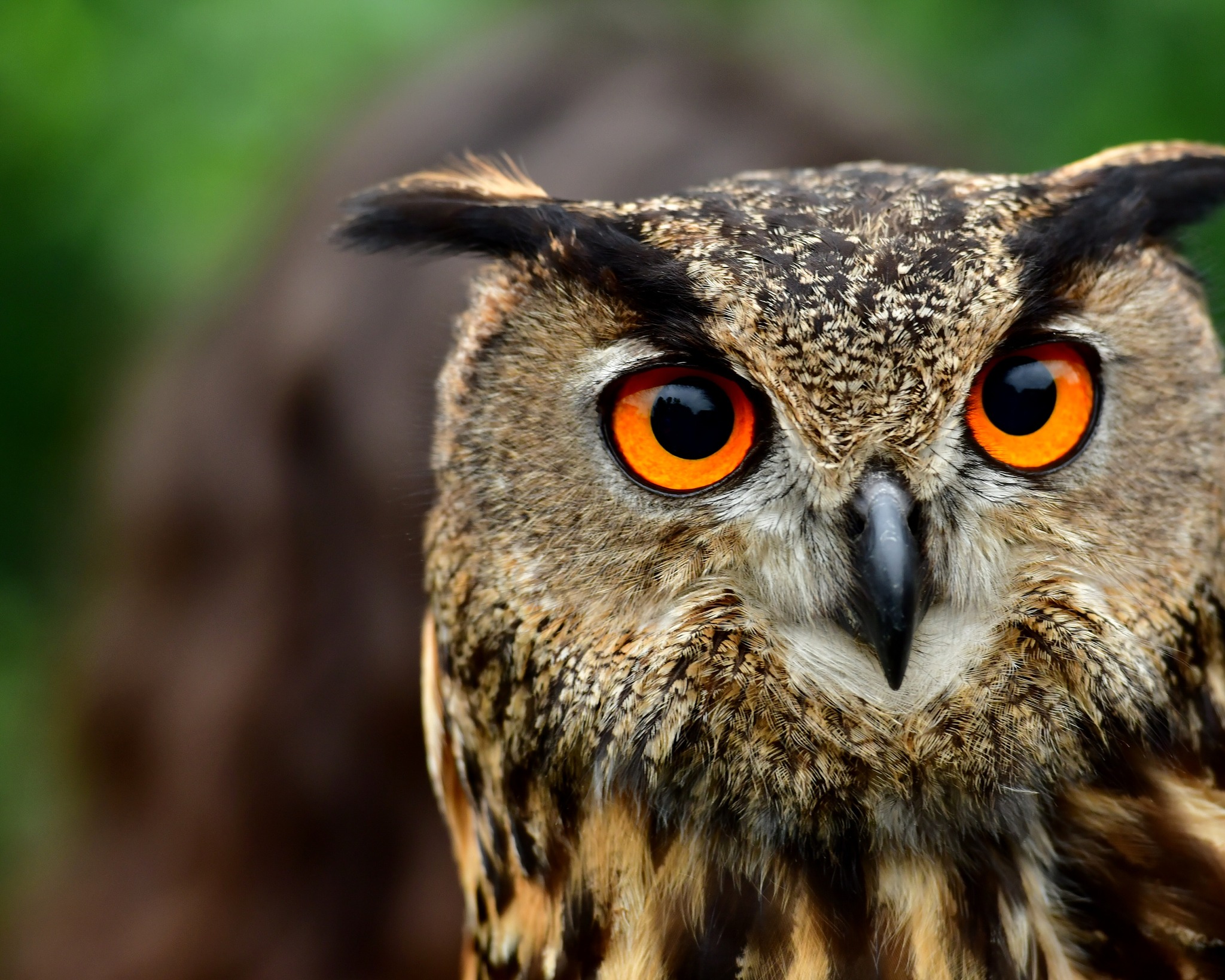 328252848_739790670699737_327068936148978161_n