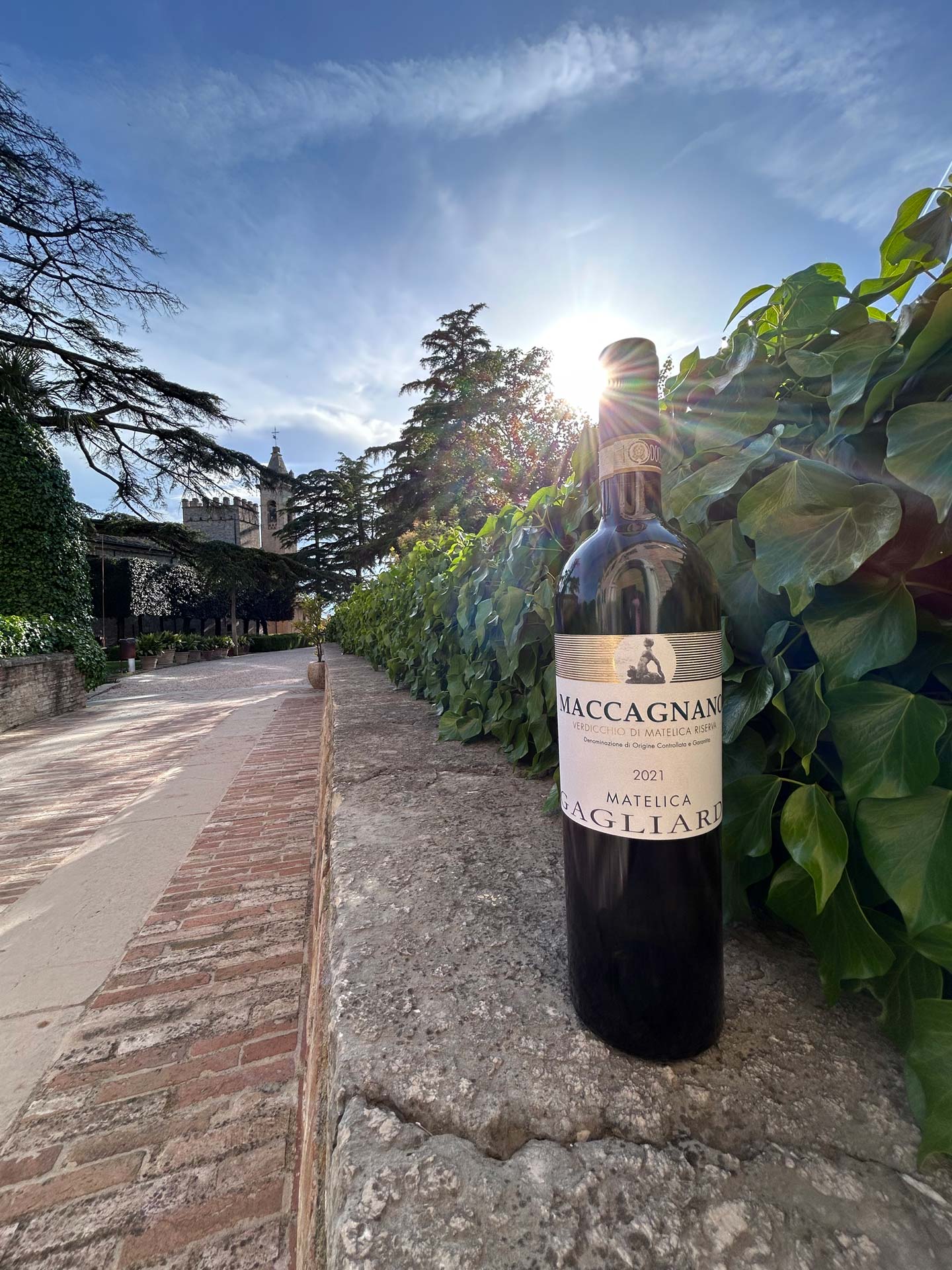 verdicchio_maccagnano_bar_della_limonaia_monterado