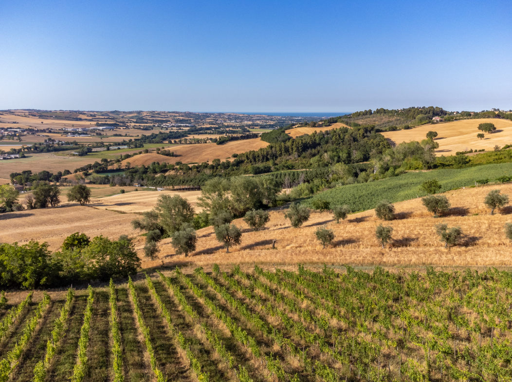 mencaroni-2